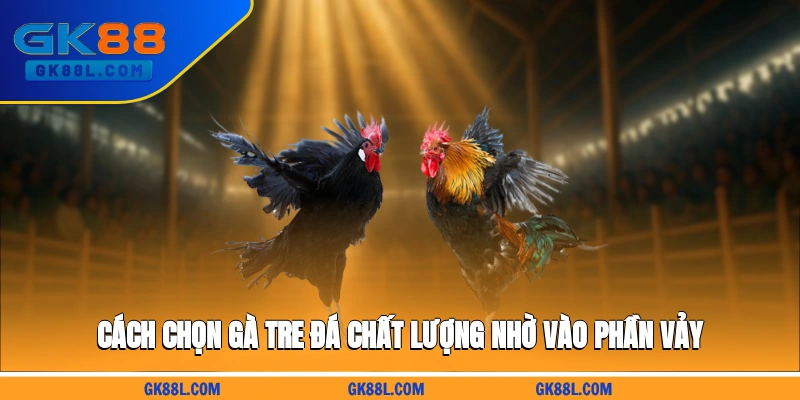 cach-chon-ga-tre-da-chat-luong-nho-vao-phan-vay-gk88l.com
