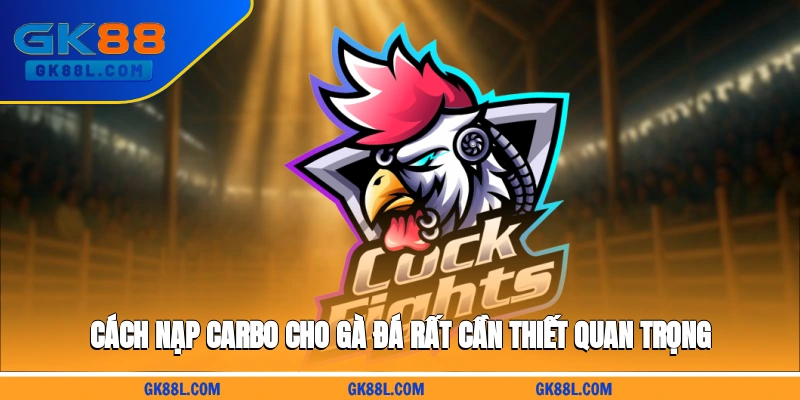 cach-nap-carbo-cho-ga-da-rat-can-thiet-quan-trong-gk88l.com