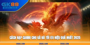 cach-nap-carbo-cho-ga-da-toi-uu-hieu-qua-nhat-2025-gk88l-com