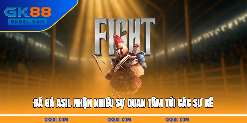 da-ga-asil-nhan-nhieu-su-quan-tam-toi-cac-su-ke-gk88l.com