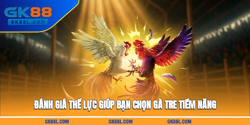 danh-gia-the-luc-giup-ban-chon-ga-tre-tiem-nang-gk88l.com