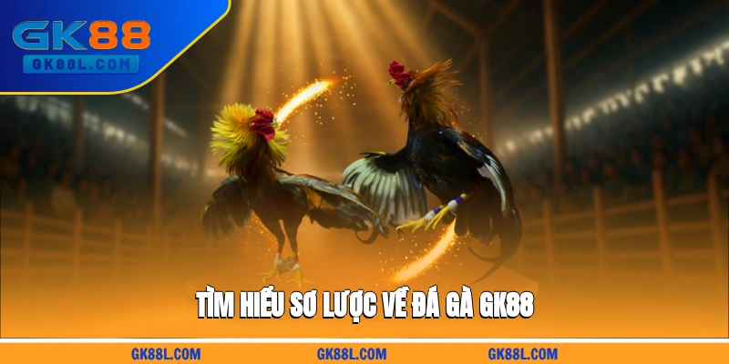 tim-hieu-so-luoc-ve-da-ga-gk88l.com