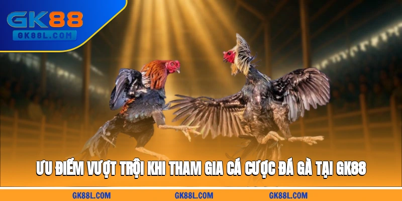 uu-diem-vuot-troi-khi-tham-gia-ca-cuoc-da-ga-tai-gk88l.com